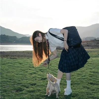 埃塞克斯之蛇